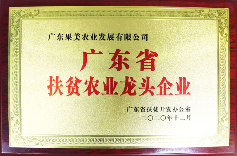 广东省扶贫农业龙头企业