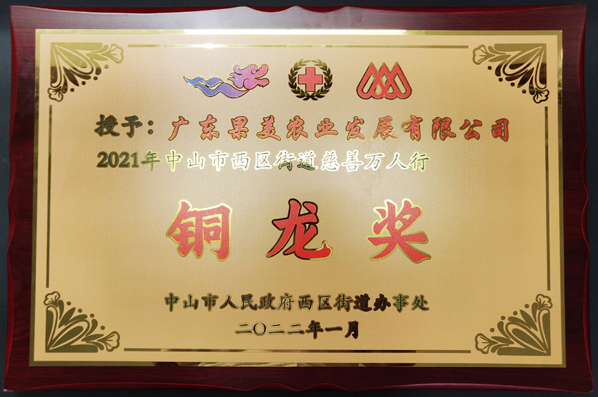 2021年中山市西区街道慈善万人行铜龙奖